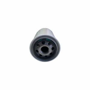 Spin-On-Filter MP Filtri CW-050-P10-A (CW-050-P10-A)